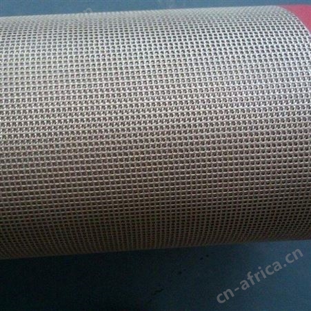 东莞 铁氟龙网带 阻燃防火 隧道烘干机网带 透气性能好  泰州侨尔瑞厂家