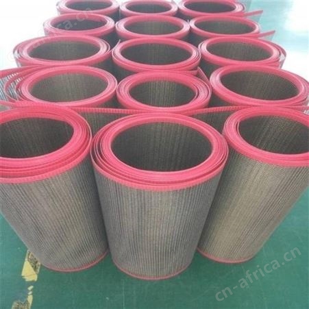 上海 特氟龙干燥传送带 耐热防腐 防跑偏输送带 耐高温 定制生产 泰州市侨尔瑞厂家