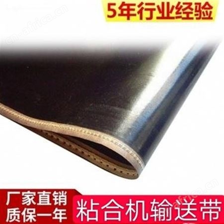 泰州侨尔瑞耐高温抗静电粘合机输送带 压衬机皮带