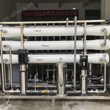 混床超纯水过滤水净化处理设备 RO+EDI超纯水设备 大鹏水处理
