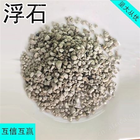 浮石FS01 微观盆栽园艺过滤材料用 基质添加 透气锁水 佳琪