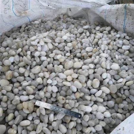 3-5毫米黑色砾石 水处理鹅卵石 铺路工程水磨石子