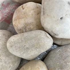 过滤用大号鹅卵石砾石 鹅卵石盆景 枯山水园林白石子