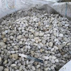 水处理鹅卵石 过滤用大号鹅卵石砾石