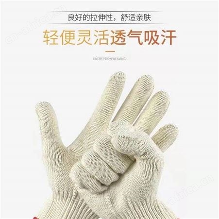 棉纱手套800G12双装