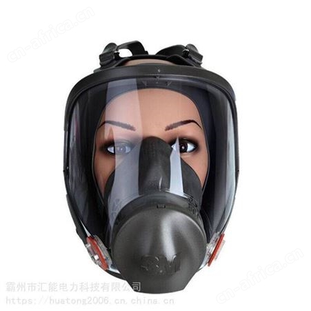 3M6800防毒面罩 防有害蒸汽面罩 防油溅面具 防粉尘过滤式呼吸器 汇能