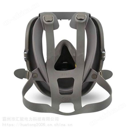 3M6800防毒面罩 防有害蒸汽面罩 防油溅面具 防粉尘过滤式呼吸器 汇能
