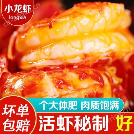 麻辣小龙虾鲜活烧制加热即食麻辣十三香蒜香蓉小龙虾熟食真空盒装