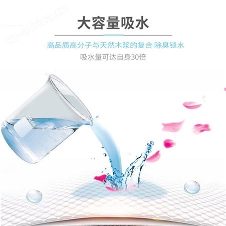 乐事宠竹炭型宠物尿垫 消臭强力吸水 高吸附力
