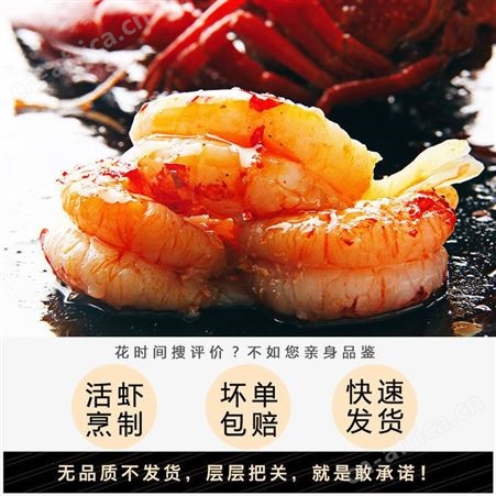 麻辣小龙虾鲜活烧制加热即食麻辣十三香蒜香蓉小龙虾熟食真空盒装