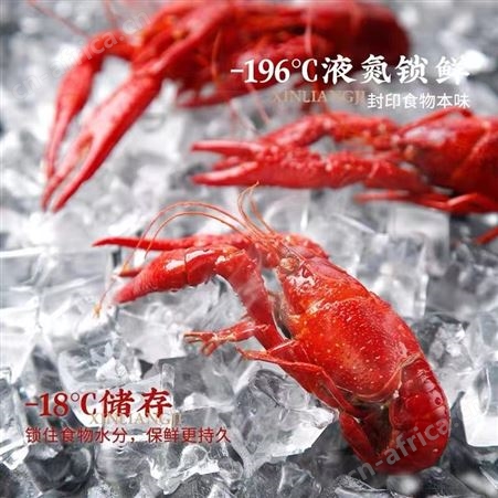 潜江虾皇油焖大虾加热即食麻辣蒜蓉小龙虾4-6钱整虾三盒冷冻熟