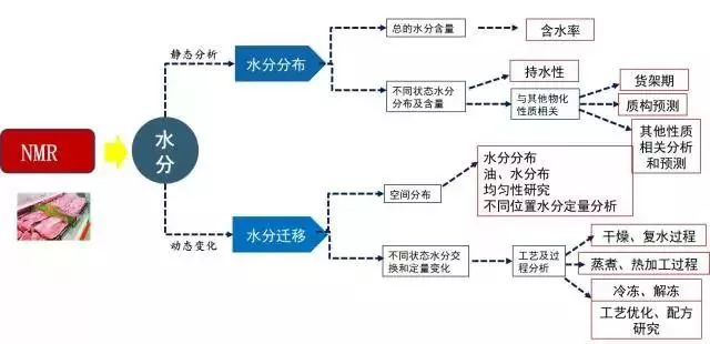 低场核磁共振技术在肉品研究中的应用（文献解读）