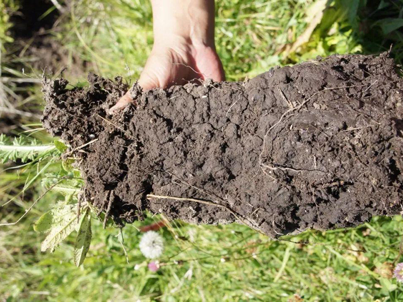 土壤肥料速测仪分析