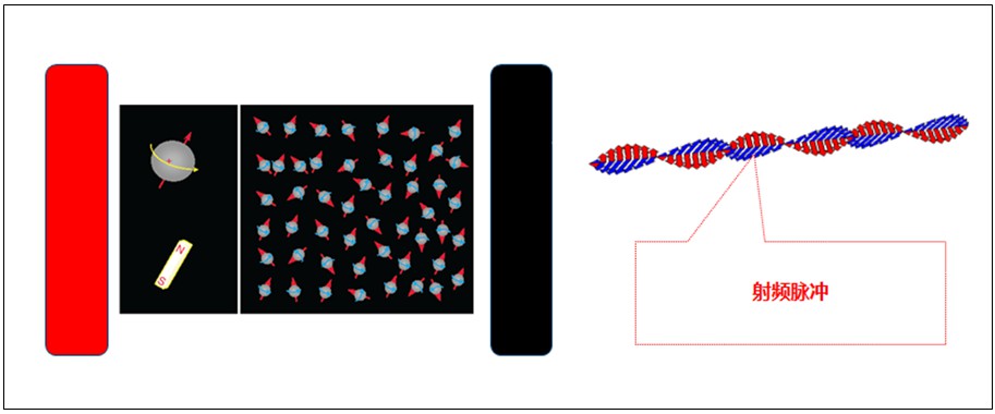 小核磁和大核磁有区别么 小核磁和大核磁有区别么