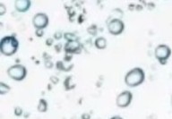 低场核磁共振结合水自由水