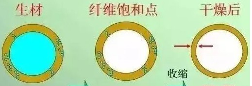 木材吸着水研究(低场核磁共振技术) 木材吸着水研究(低场核磁共振技术)