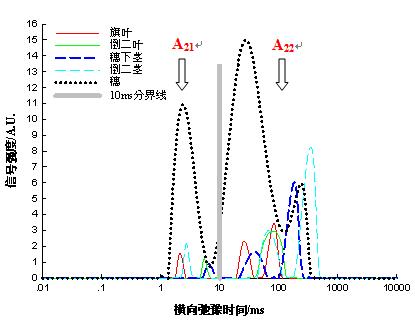 低场核磁技术用于水稻植株发育和叶片衰老研究